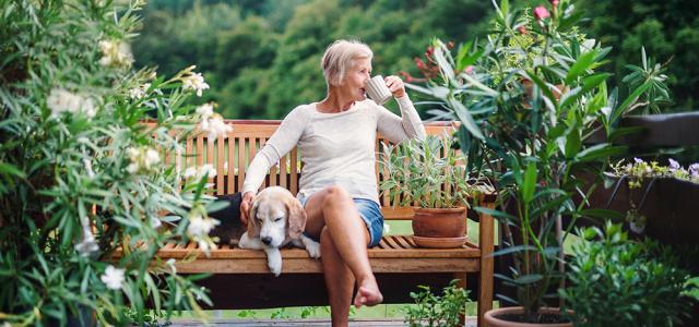 Retirement Planning Services | Plus Group Wealth Advisors